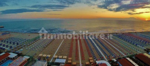 4 chambres Villa à Forte dei Marmi, Italy No. 138859 25