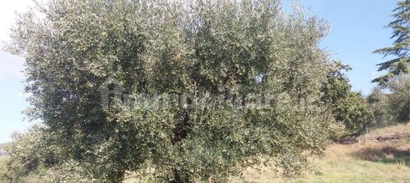 Casa T10 em Perugia, Italy N.º 150176 17