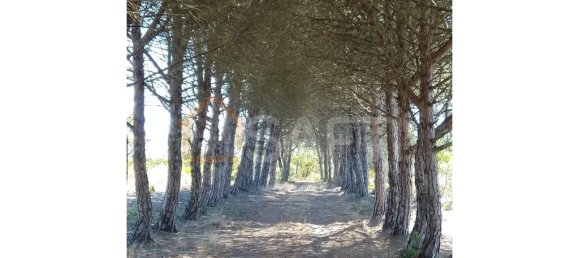 2760000m² Land in Bordeira, Portugal No. 62935 4