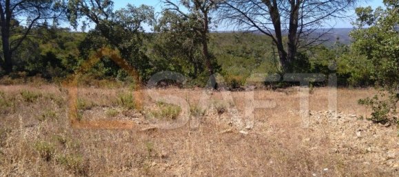 2760000m² Land in Bordeira, Portugal No. 62935 25