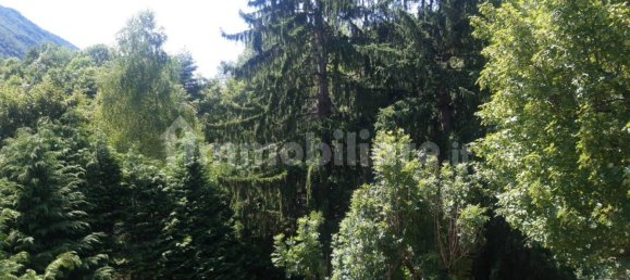 2 bedrooms House in Malesco, Italy No. 268571 45