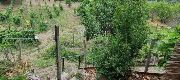 6-Zimmer Haus in Montecalvo Versiggia, Italy, Nr. 109363 8