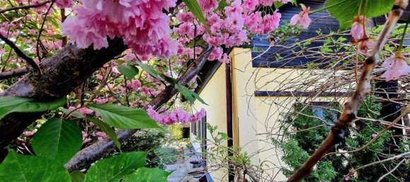 5 rooms House in Simmering, Austria No. 95809 9