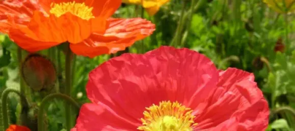 Apartamento de 2 habitaciónes en Essen, Germany No. 9022 7