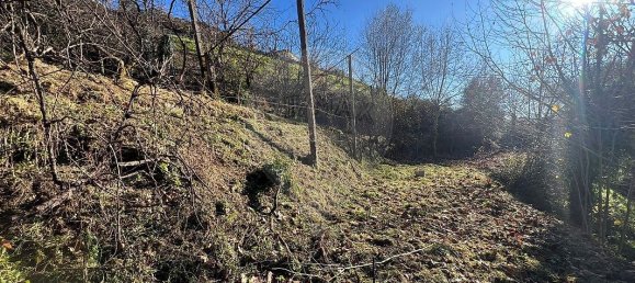 3 غرف نوم منزل في Celorico de Basto, Portugal رقم 41726 18