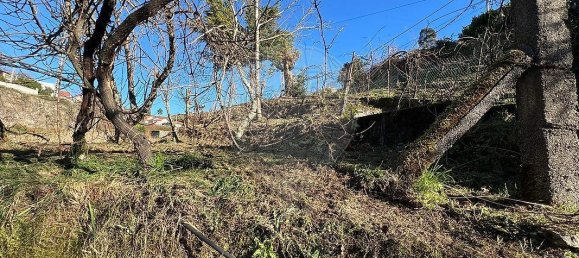 3 غرف نوم منزل في Celorico de Basto, Portugal رقم 41726 11