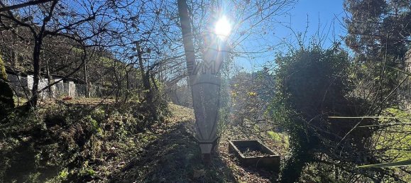 3 غرف نوم منزل في Celorico de Basto, Portugal رقم 41726 15