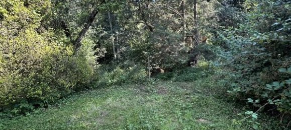 5-Zimmer Haus in Saint-Die-des-Vosges, France, Nr. 238930 8