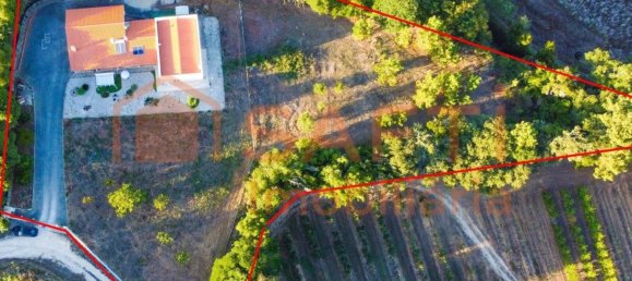 Casa de 4 dormitorios en Cela, Portugal No. 139342 5