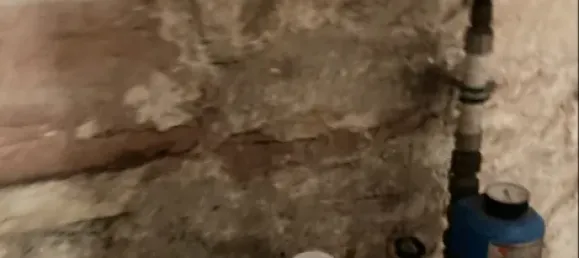 Adosado de 3 dormitorios en Schmalkalden-Meiningen, Germany No. 343902 40