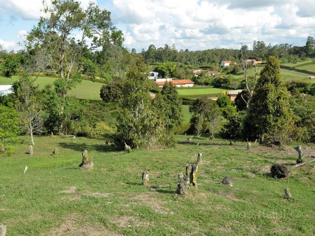  Land in Antioquia, Colombia No. 774