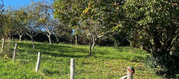 Grundstück in Siero, Spain, Nr. 162032 6