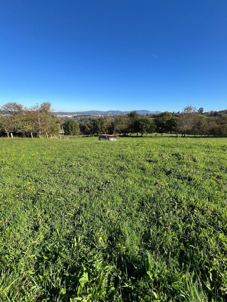 Grundstück in Siero, Spain, Nr. 162032