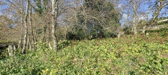 Casa de 4 dormitorios en Viana do Castelo, Portugal No. 157087 16