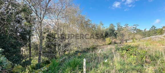 Casa de 4 dormitorios en Viana do Castelo, Portugal No. 157087 18