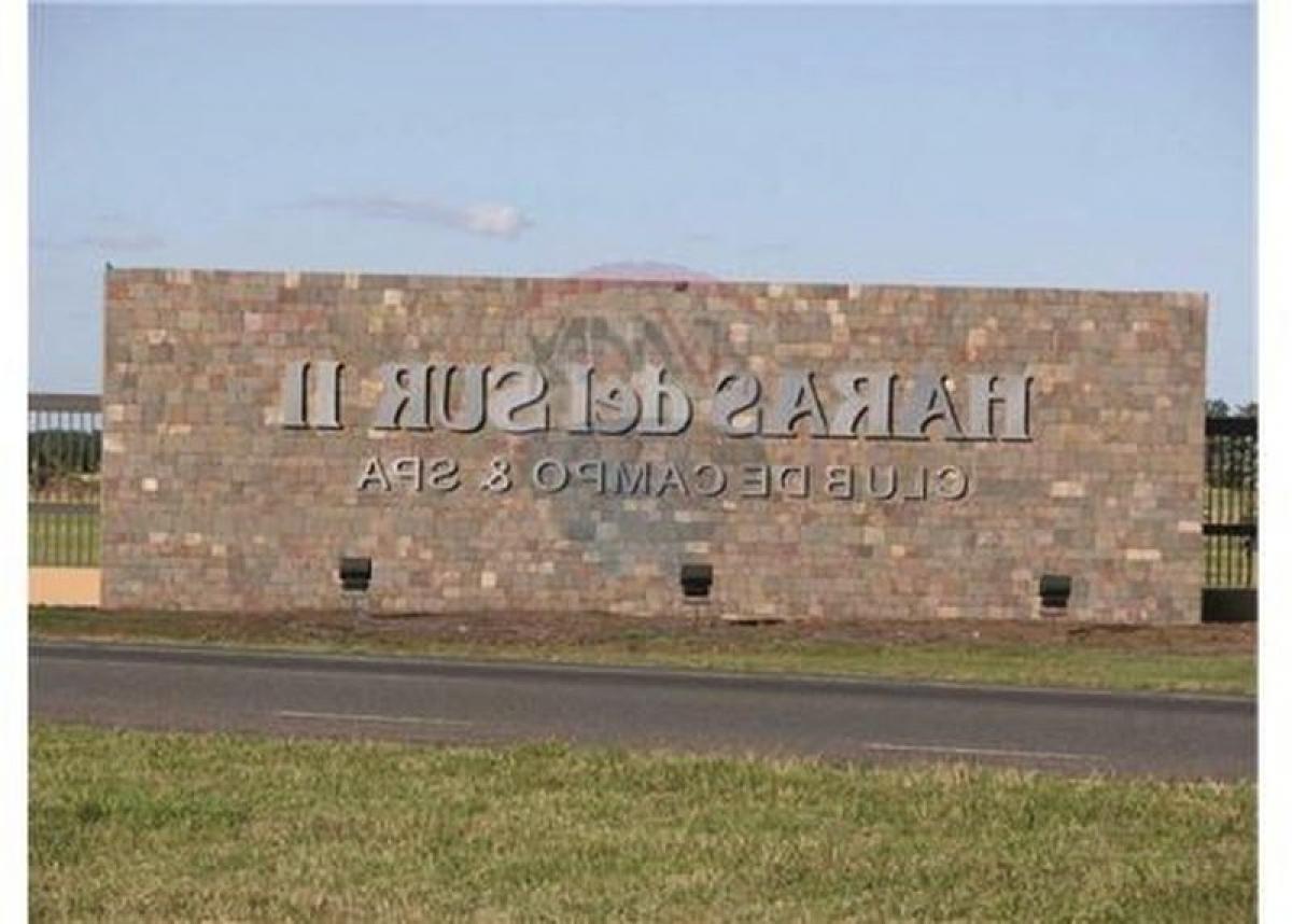  Land in Brandsen, Argentina No. 40653