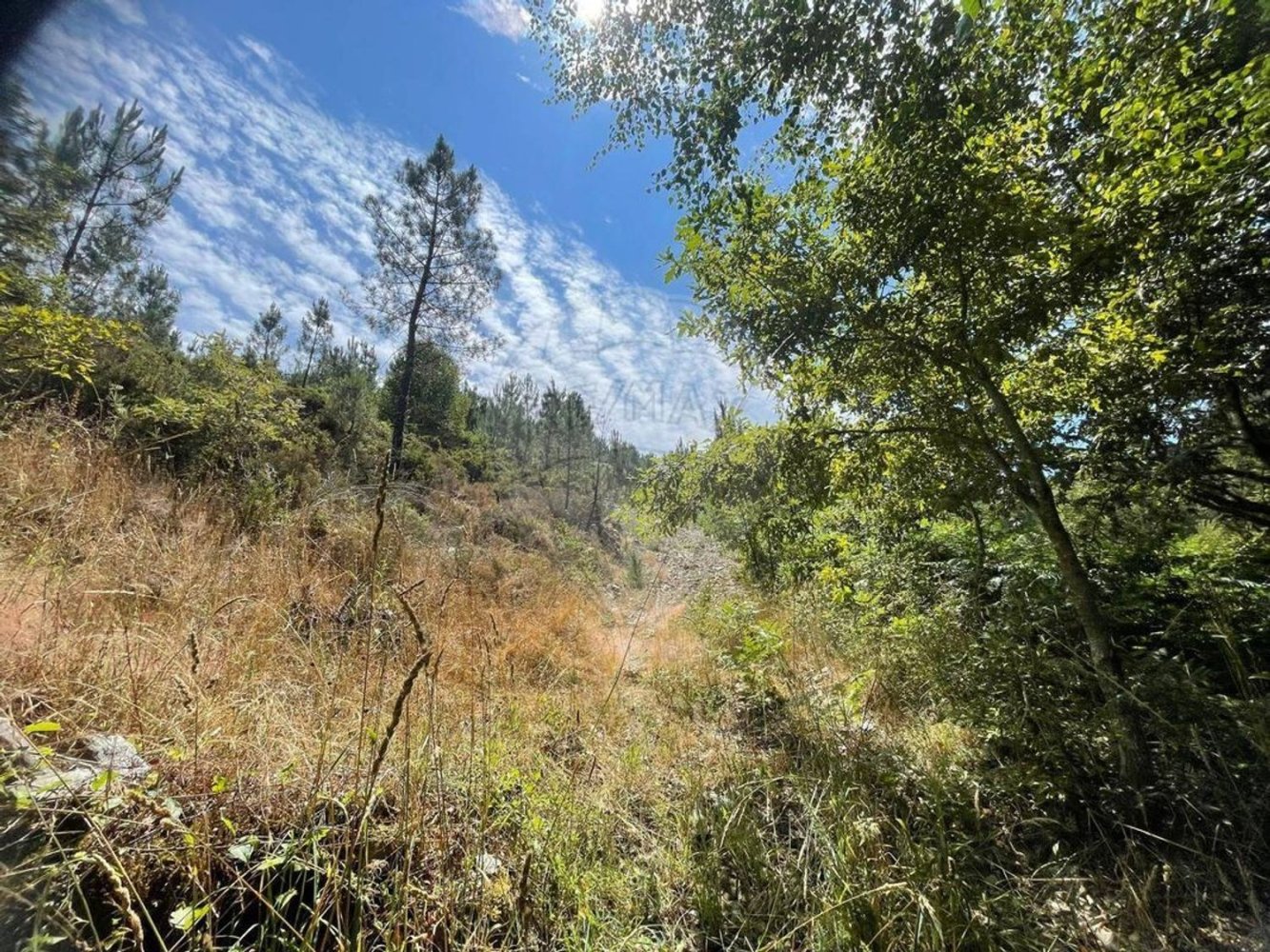  Land in Montalegre, Portugal No. 267108