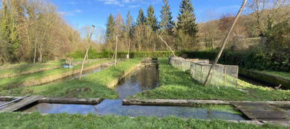 5 bedrooms House in Poix-de-Picardie, France No. 93901 6