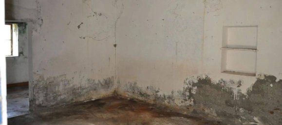 5 rooms Apartment in Santa Domenica Talao, Italy No. 115161 17