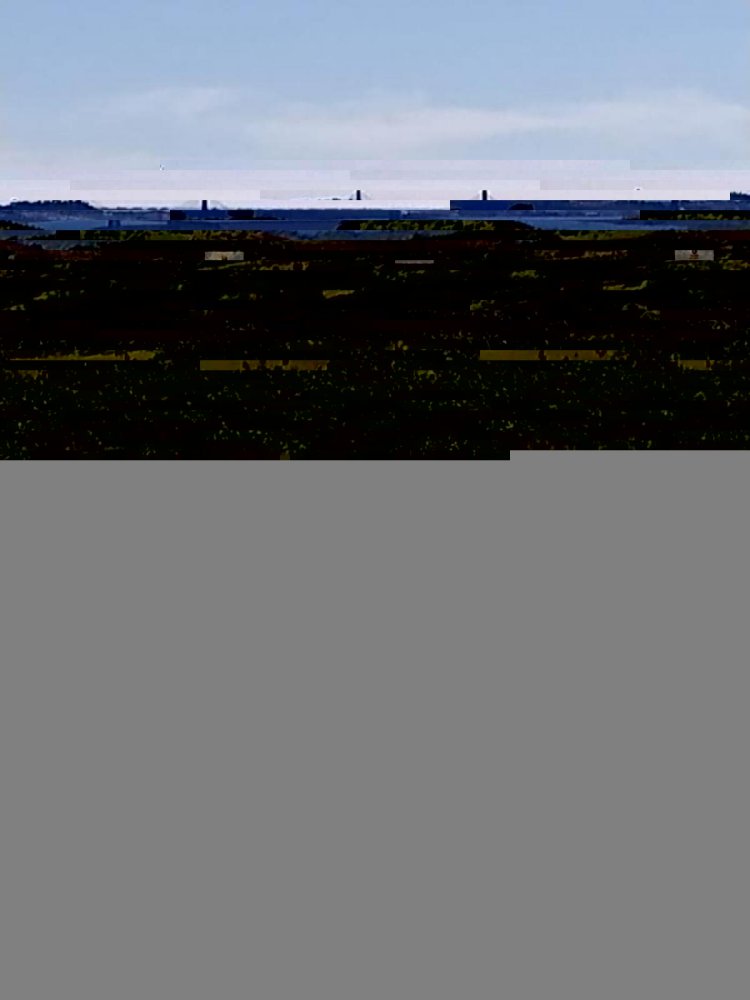 15120m² Land in Castro Marim, Portugal No. 2237