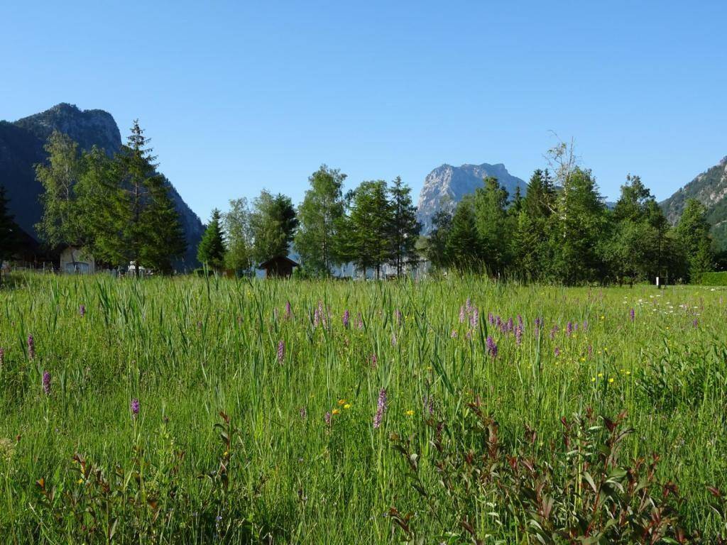 Terreno em Ebensee am Traunsee, Austria 609 m² N.º 69126