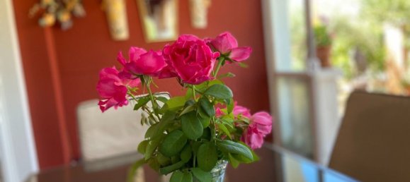 Casa de 4 dormitorios en Salamanca, Spain No. 104109 19