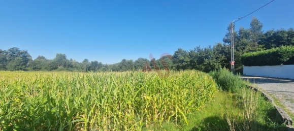  قطعة أرض في Serzedelo, Portugal 15800متر مربع رقم 35069 5