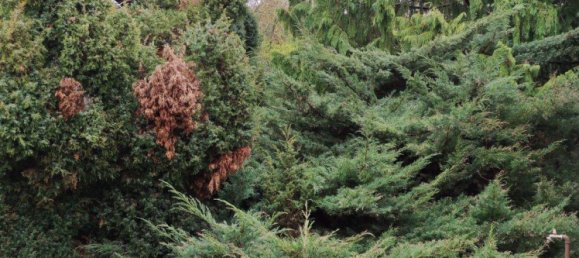 Terreno en Havelland, Germany No. 348731 5