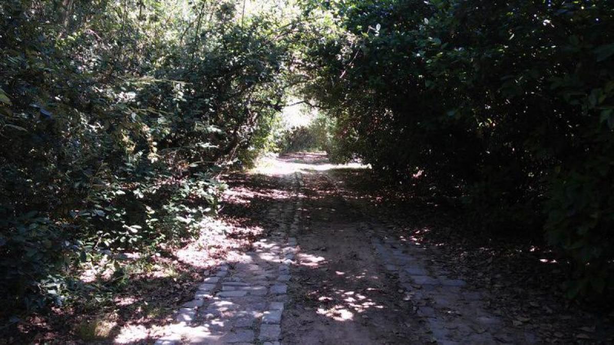 5 bedrooms House in Escobar, Argentina No. 14847