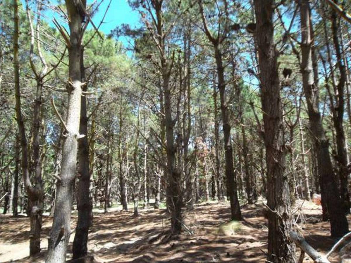  Land in Mar del Plata, Argentina No. 121587