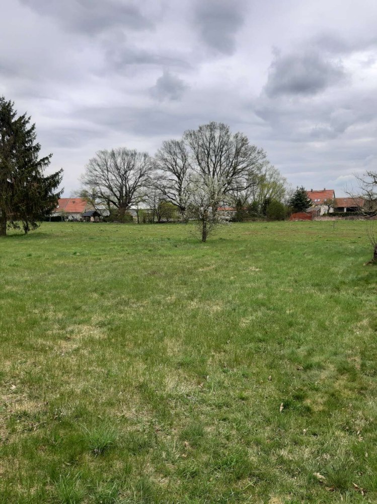  Land in Teltow-Flaming, Germany No. 259656