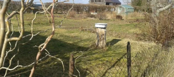  Land in Teltow-Flaming, Germany No. 259656 9