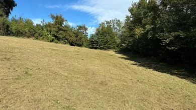  Land in Luftenberg an der Donau, Austria No. 168221