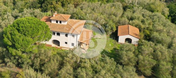 5 غرف نوم فيلا في Palaia, Italy رقم 56897 3