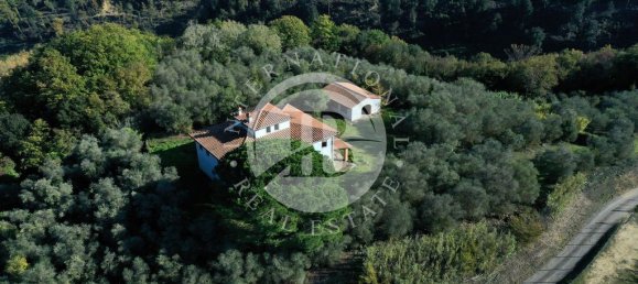 5 غرف نوم فيلا في Palaia, Italy رقم 56897 13