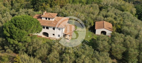 5 غرف نوم فيلا في Palaia, Italy رقم 56897 2