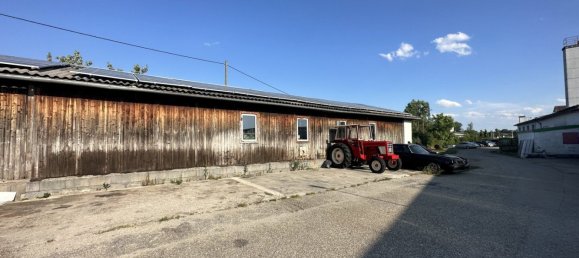 6084m² Commercial property in Antiesenhofen, Austria No. 127523 17