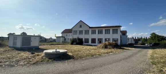 6084m² Commercial property in Antiesenhofen, Austria No. 127523 8