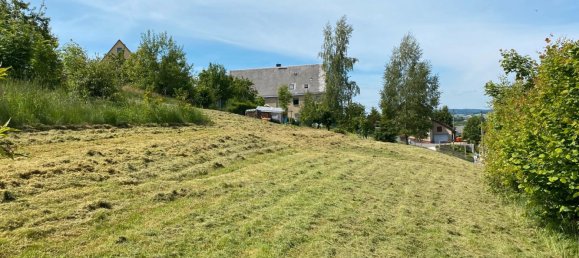 Terrain à Erzgebirgskreis, Germany No. 218219 15