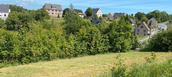 Terrain à Erzgebirgskreis, Germany No. 218219 9