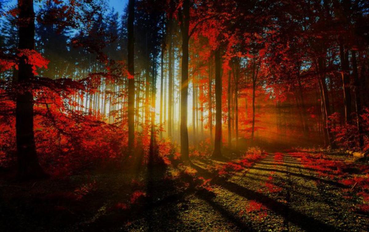 Terreno em Maldonado, Uruguay N.º 15248