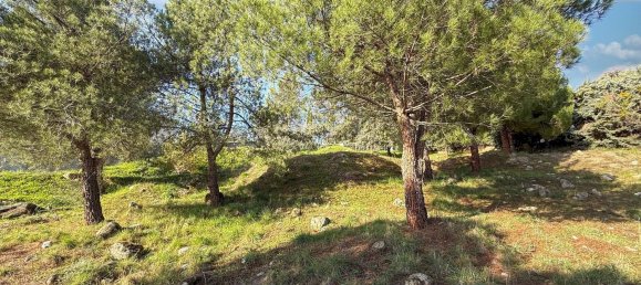 Земельный участок 1915м² в Торрелодоны, Испания № 110796 12