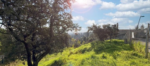 Земельный участок 1915м² в Торрелодоны, Испания № 110796 14