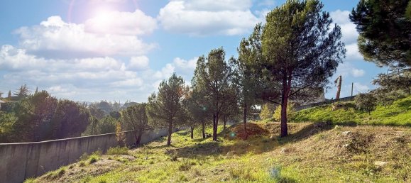 Земельный участок 1915м² в Торрелодоны, Испания № 110796 5