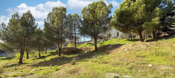 Земельный участок 1915м² в Торрелодоны, Испания № 110796 13