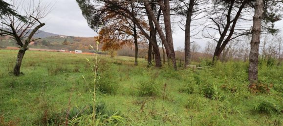 Вилла с 7 комнатами в Бучине, Италия № 224544 12