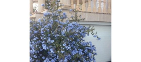 4 chambres Maison à Mutxamel, Spain No. 109625 39