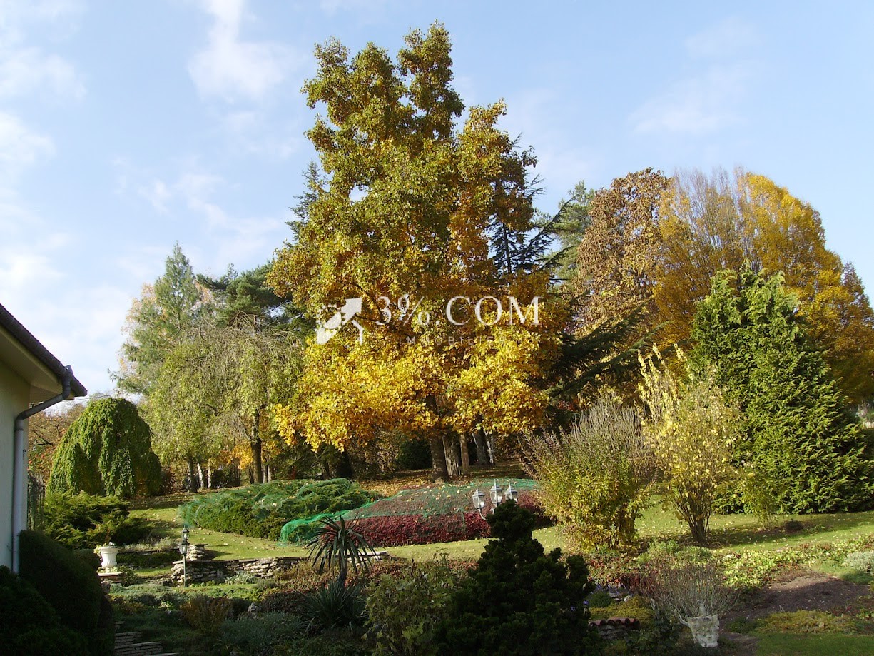 6 Schlafzimmer Villa in Rosieres-aux-Salines, France, Nr. 41047