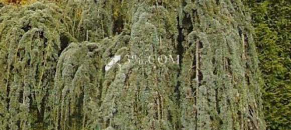 6 Schlafzimmer Villa in Rosieres-aux-Salines, France, Nr. 41047 7