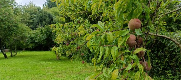 3 غرف نوم منزل في Bourgueil, France رقم 239989 8